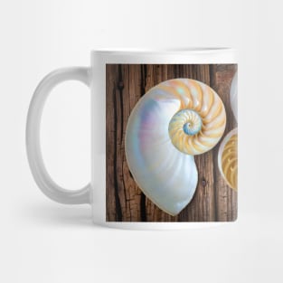 Two Chambered Nautilus Mug